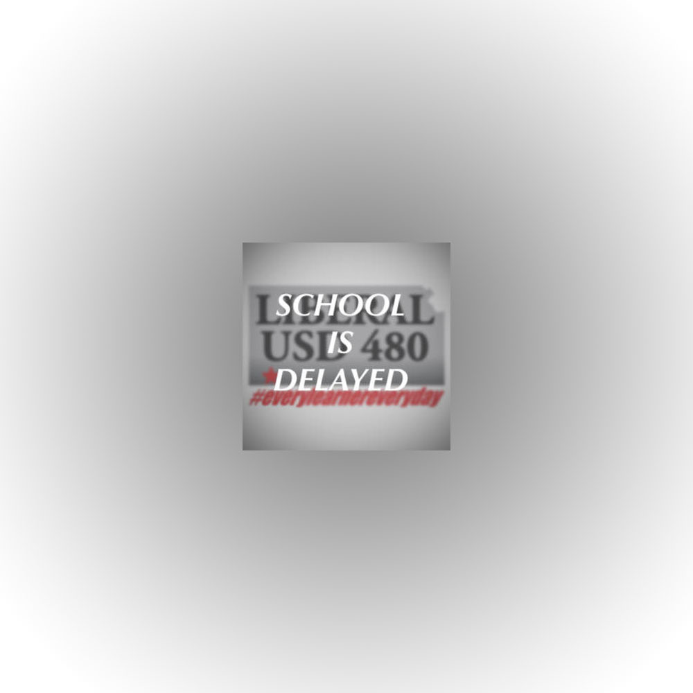 USD 480