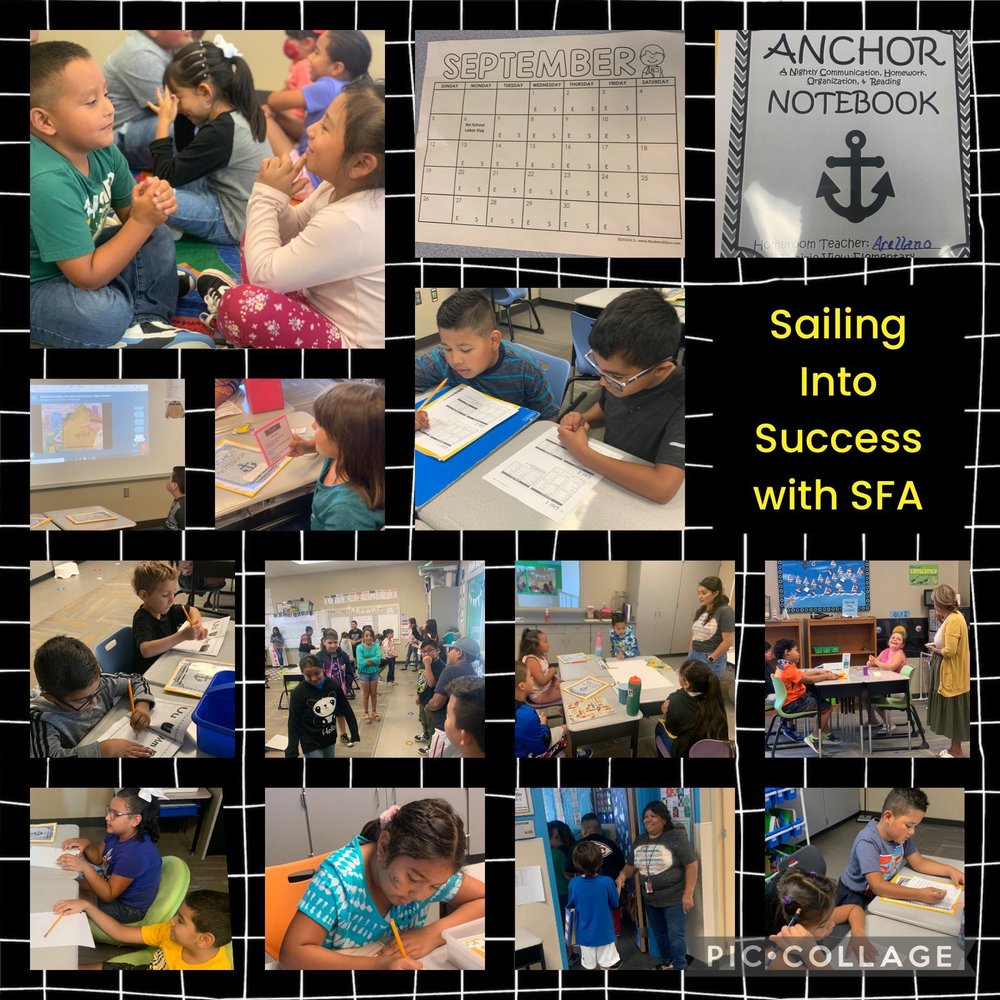 Sailing into Success with SFA