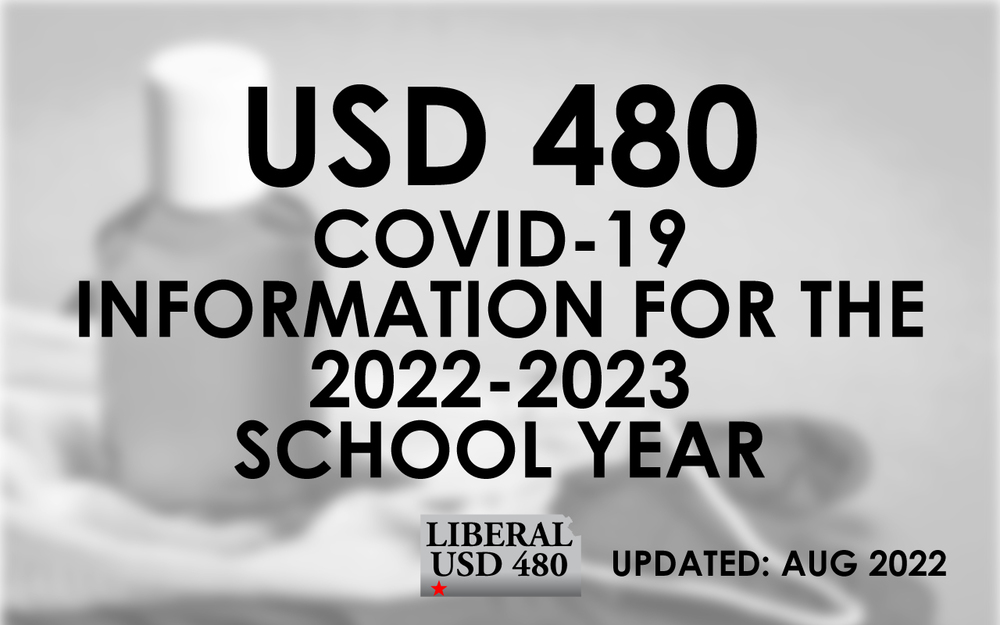 USD 480 COVID  Guidelines