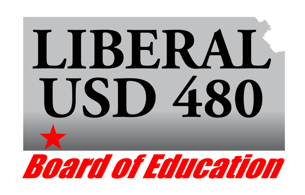 USD 480 BOE Logo