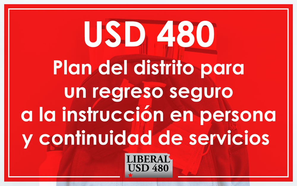 USD 480 Covid Plan Spanish