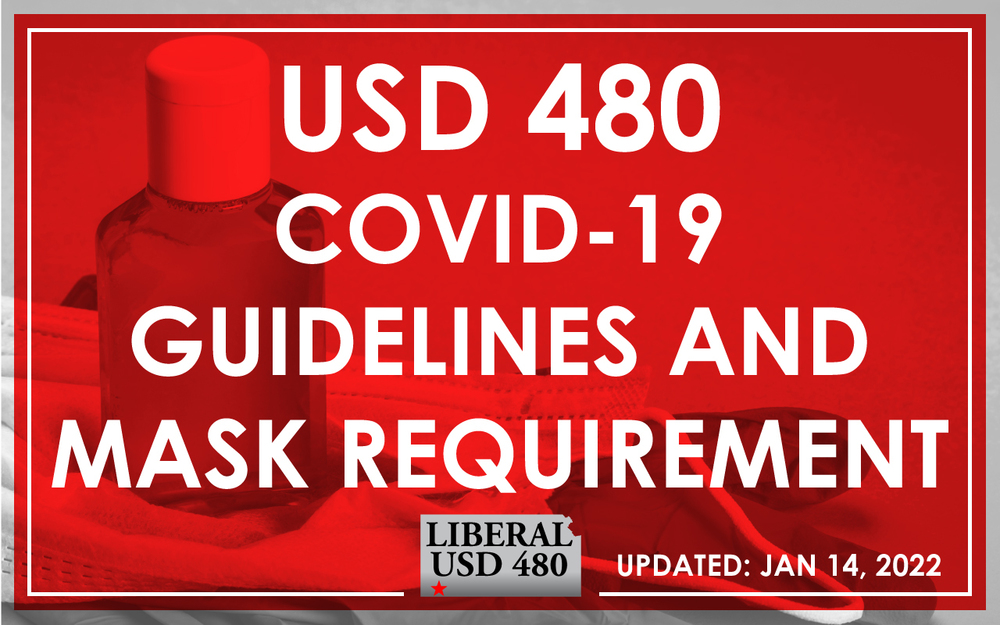 USD 480 COVID  Guidelines