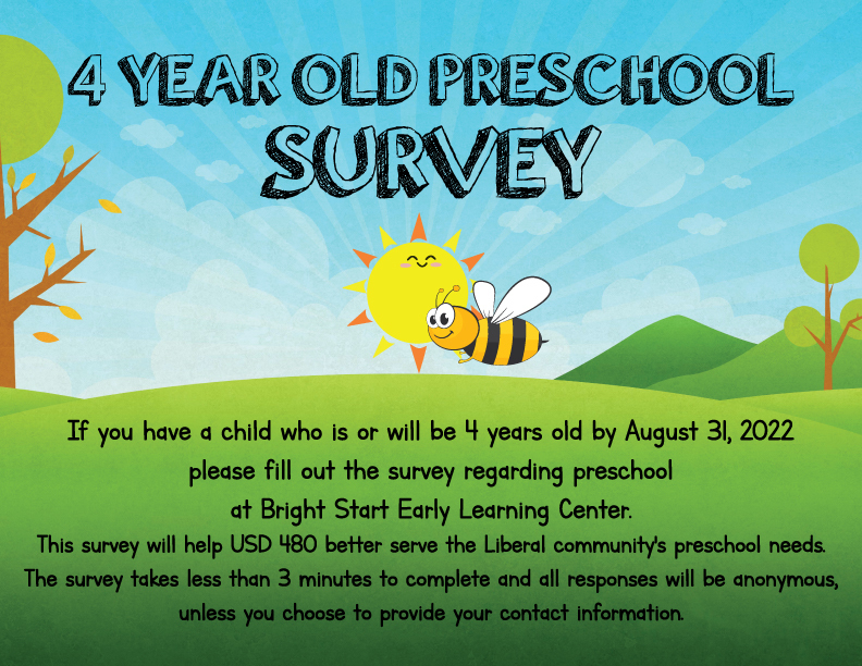 Preschool survey