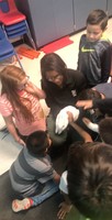 Animal Rescue Visits after students made chew toys for all the shelter pets