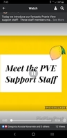 PVE Amazing Support Staff