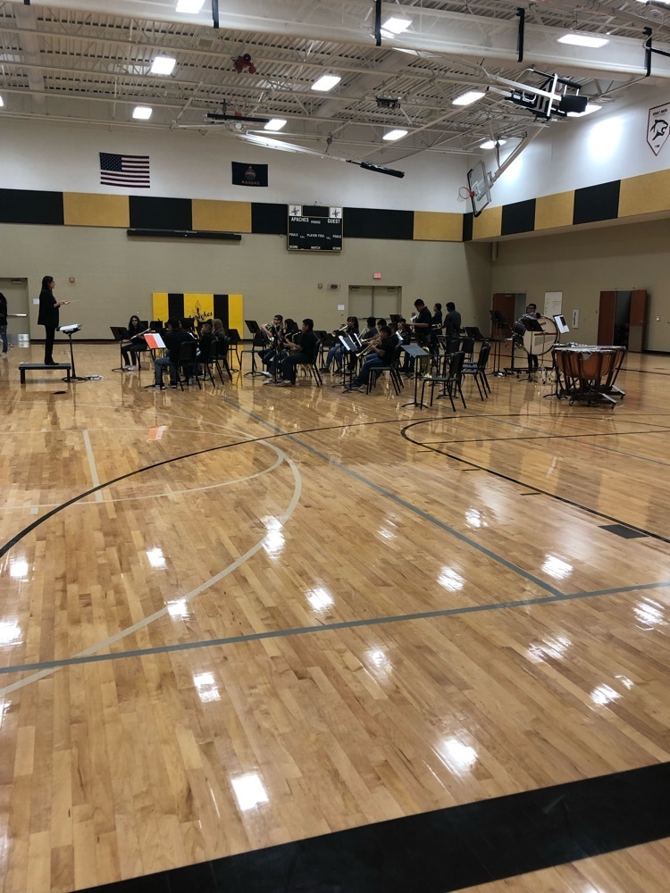 Intermediate Band